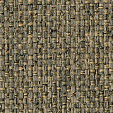Camira Rivet 1554.jpg